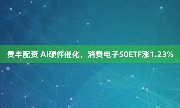 贵丰配资 AI硬件催化，消费电子50ETF涨1.23%
