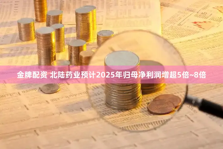 金牌配资 北陆药业预计2025年归母净利润增超5倍~8倍