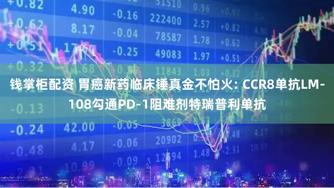 钱掌柜配资 胃癌新药临床锤真金不怕火: CCR8单抗LM-108勾通PD-1阻难剂特瑞普利单抗