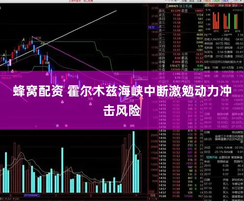 蜂窝配资 霍尔木兹海峡中断激勉动力冲击风险