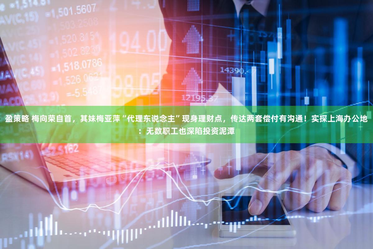 盈策略 梅向荣自首,其妹梅亚萍“代理东说念主”现身理财点,传达两套偿付有沟通!实探上海办公地:无数职工也深陷投资泥潭