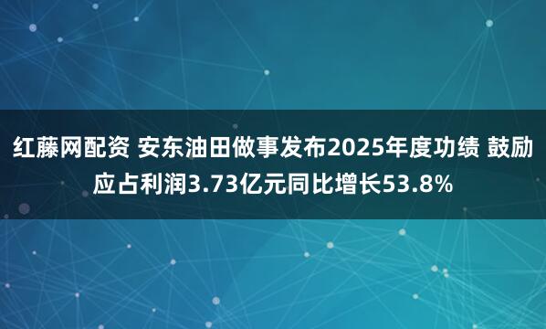 红藤网配资 安东油田做事发布2025年度功绩 鼓励应占利润3.73亿元同比增长53.8%