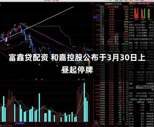 富鑫贷配资 和嘉控股公布于3月30日上昼起停牌