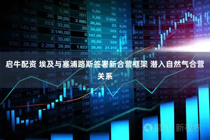启牛配资 埃及与塞浦路斯签署新合营框架 潜入自然气合营关系