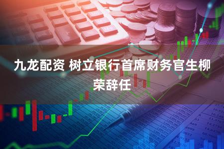 九龙配资 树立银行首席财务官生柳荣辞任
