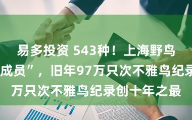 易多投资 543种！上海野鸟又添8位“新成员”，旧年97万只次不雅鸟纪录创十年之最