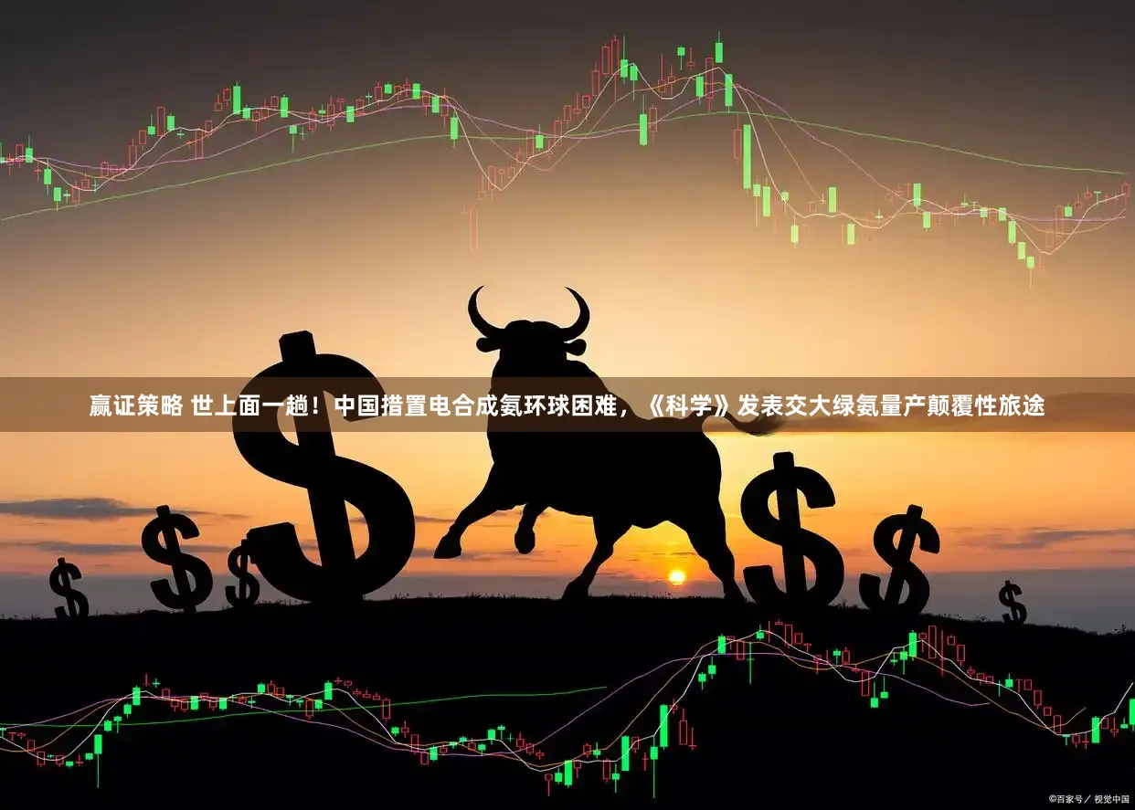 赢证策略 世上面一趟!中国措置电合成氨环球困难,《科学》发表交大绿氨量产颠覆性旅途