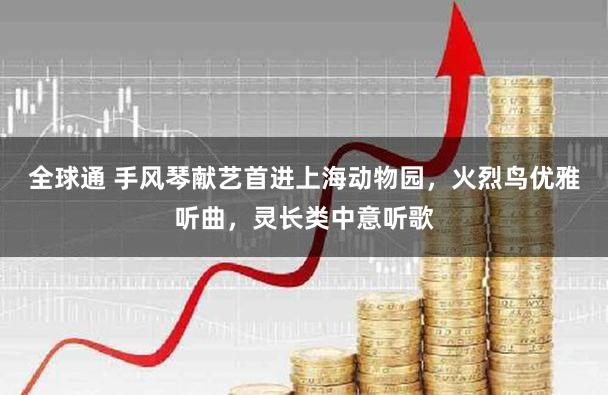 全球通 手风琴献艺首进上海动物园,火烈鸟优雅听曲,灵长类中意听歌